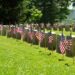 Memorial day, i morti contati e i morti dimenticati