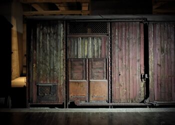 Un velo pietoso. Quando la sinistra stigmatizza il linguaggio degli altri