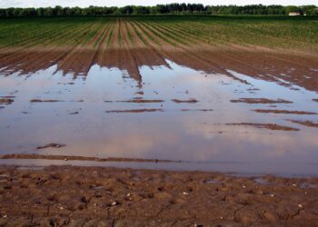 Un unico centro d’azione per rimettere l’Italia in sicurezza