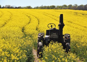 Un primo maggio costituzionale
