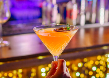 In che mondo vive un ministro della Repubblica