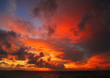 Hegel tra Alexandre Kojève ed Eric Weil