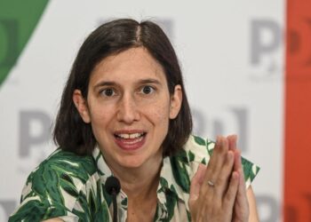 Il movimentismo  proposta di governo