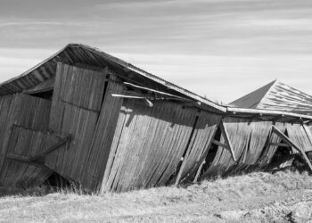 Uniti per mettere in ginocchio il paese