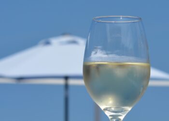 Poche idee e confuse, eccetto una