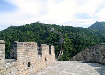 La MAFD e la nuova politica estera americana 