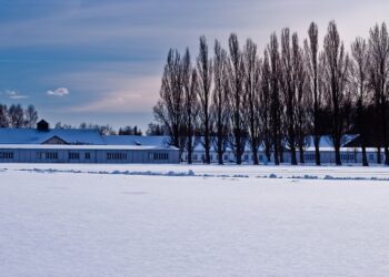 I giorni senza memoria