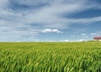 Come arrivare a maggio