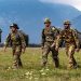 Il governo Nato