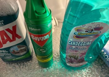 Apologia del trash. Anche la discarica ha una utilità  sociale