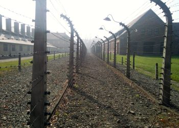 Il fascismo nella sua epoca