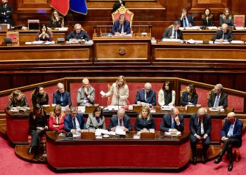 Il doppiopetto istituzionale