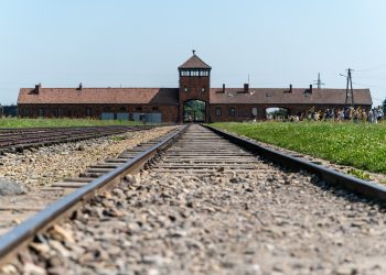 Auschwitz ottanta