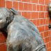 La società aperta ed il suo nemico