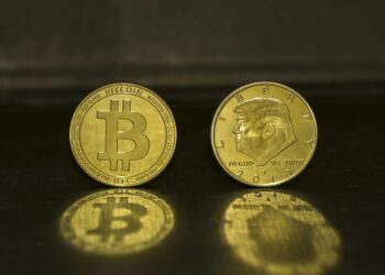 Una politica dei redditi per gli States