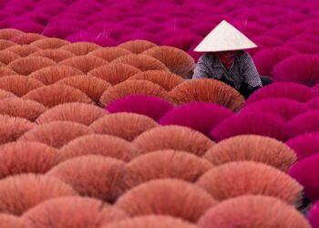 Continuare a non capire niente del Vietnam