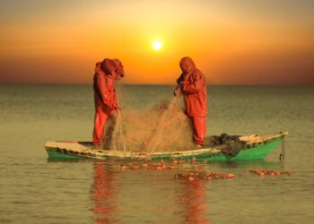 Gaza e Kyiv diverse fra loro