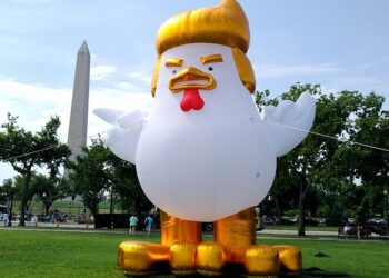 Donald Duck come presidente