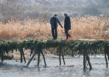 Per un’economia del futuro