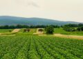 Ritorno alla terra, un piccolo passo di portata rivoluzionaria